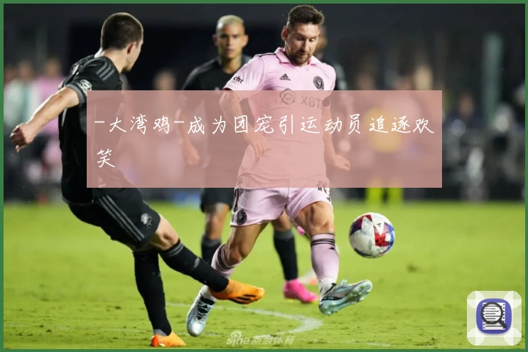 -大湾鸡-成为团宠引运动员追逐欢笑